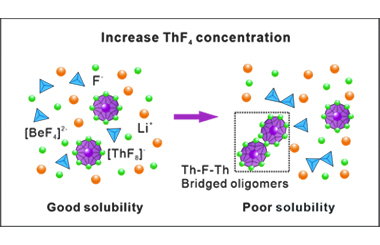 Local structure and dissolution mechanism of ThF4 in FLiBe molten salts 2026.101046
